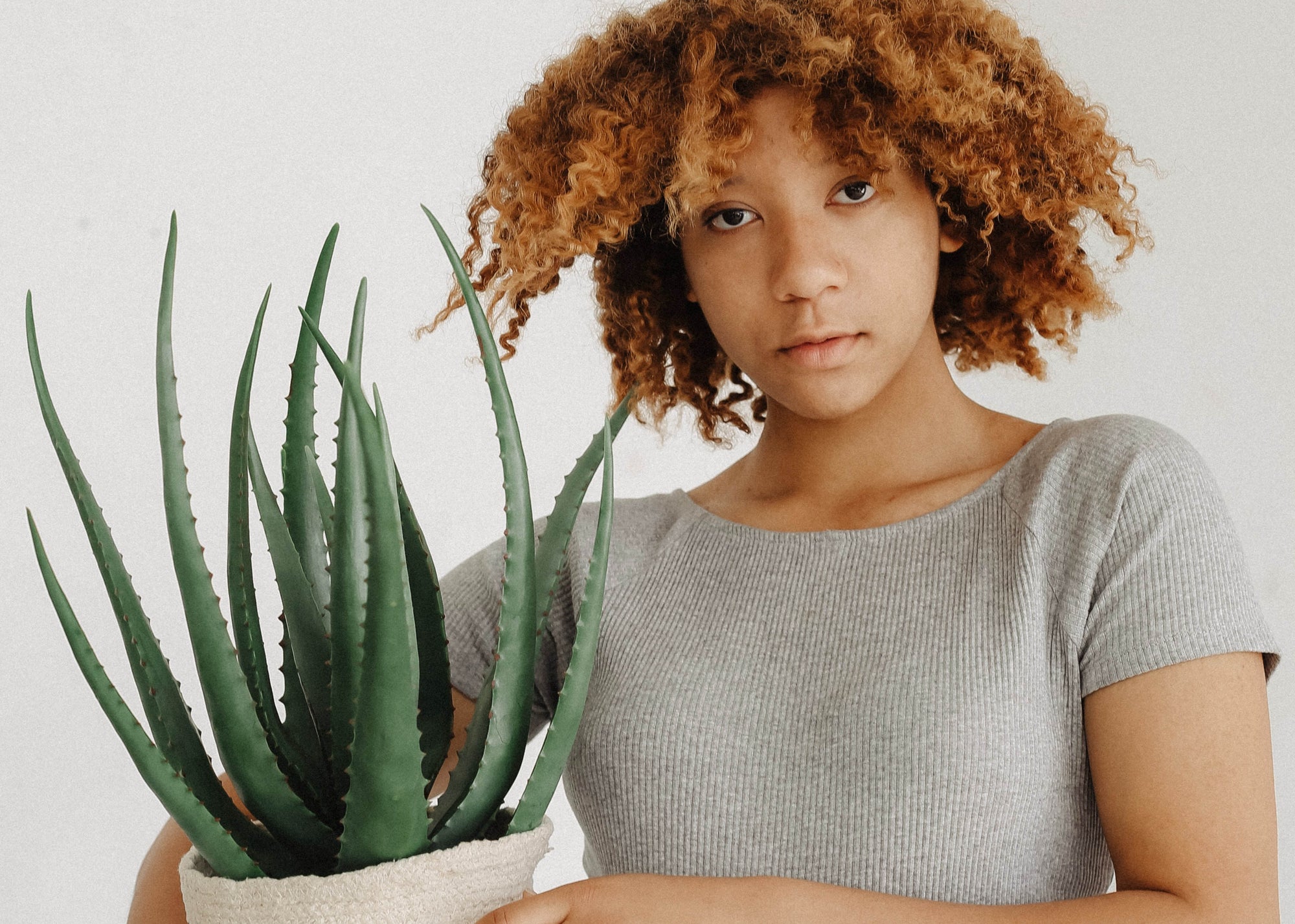 Les vertus géniales de l'aloès pour hydrater les boucles et les cheveux afro!